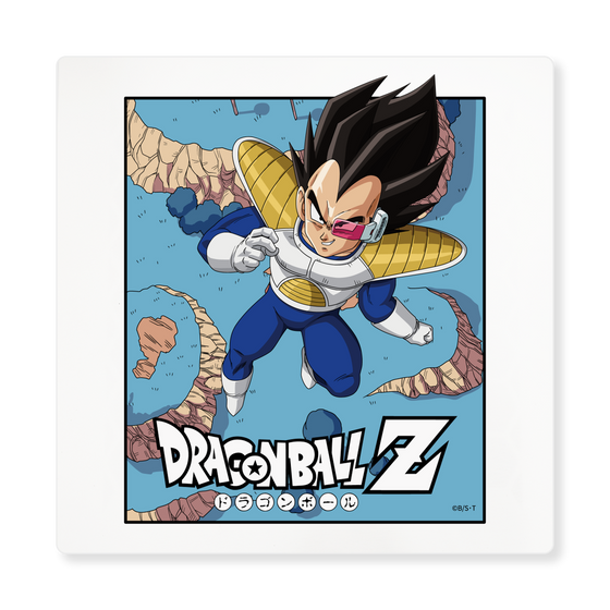 アートパネル［ ドラゴンボールZ - ベジータ ］