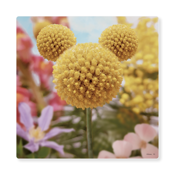 アートパネル［ Disney - Nature - Flower ］