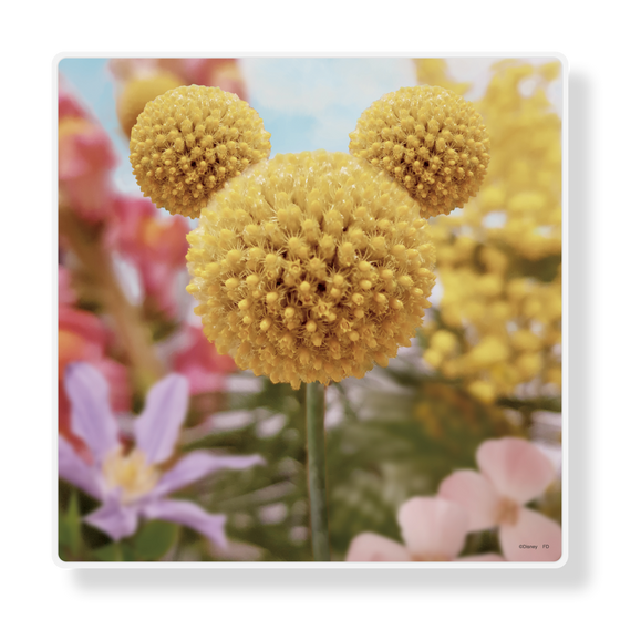 アートパネルスピーカー［ Disney - Nature - Flower ］