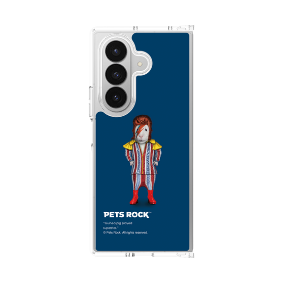 クリアケース［ PETS ROCK - Glam Rock ］