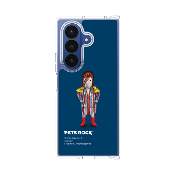クリアケース［ PETS ROCK - Glam Rock ］