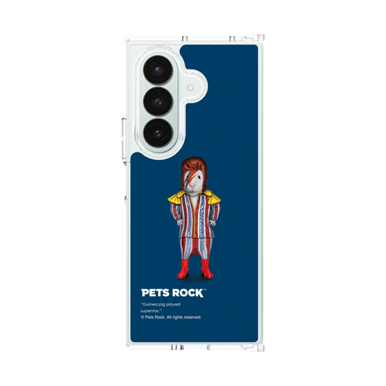 クリアケース［ PETS ROCK - Glam Rock ］