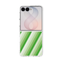 クリアケース［ Middle Stripe - Green ］