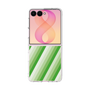 クリアケース［ Middle Stripe - Green ］
