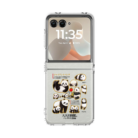 クリアケース［ 大人の図鑑 - パンダの生態編 ］