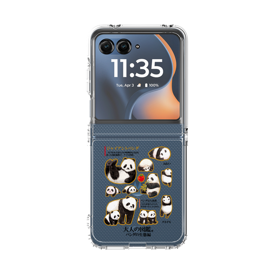 クリアケース［ 大人の図鑑 - パンダの生態編 ］