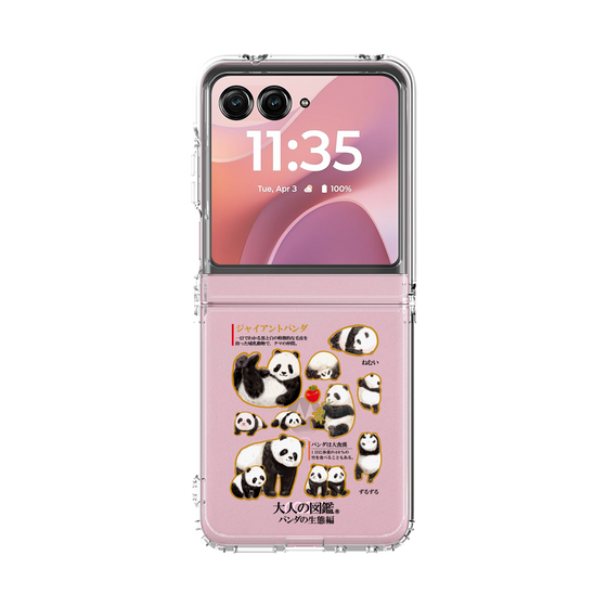 クリアケース［ 大人の図鑑 - パンダの生態編 ］