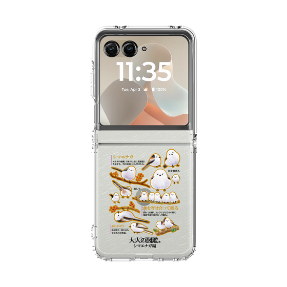 クリアケース［ 大人の図鑑 - シマエナガ編 ］