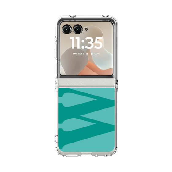 クリアケース［ オリジナル - initial color - W light green ］