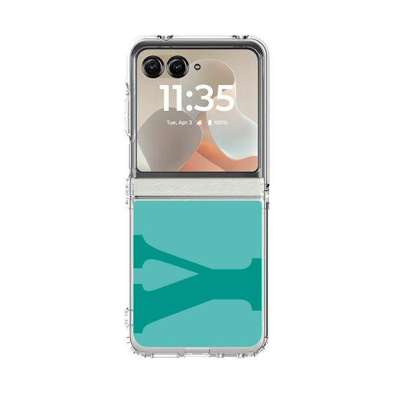 クリアケース［ オリジナル - initial color - Y light green ］