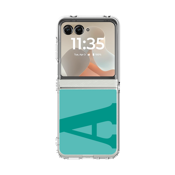 クリアケース［ オリジナル - initial color - A light green ］