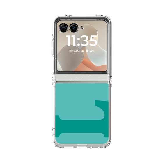 クリアケース［ オリジナル - initial color - L light green ］