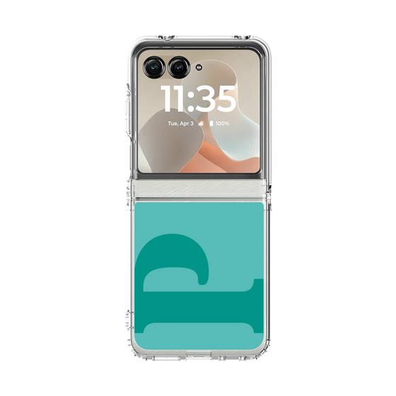 クリアケース［ オリジナル - initial color - P light green ］