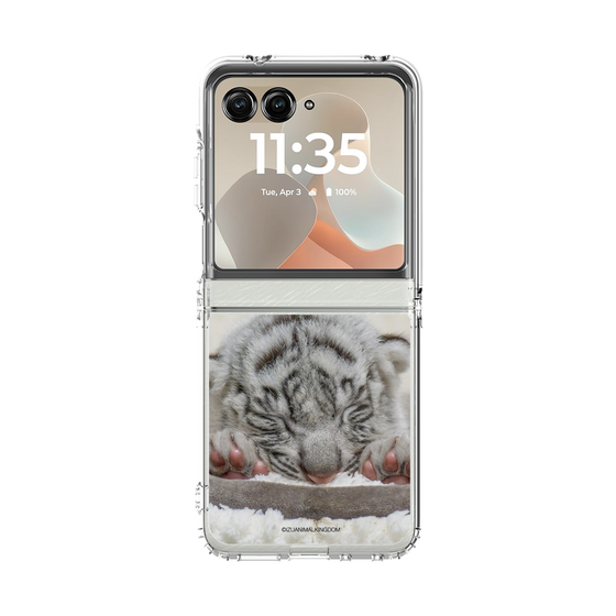 クリアケース［ 伊豆アニマルキングダム - ホワイトタイガー - 赤ちゃん(ベビトラ） ］