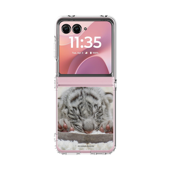 クリアケース［ 伊豆アニマルキングダム - ホワイトタイガー - 赤ちゃん(ベビトラ） ］