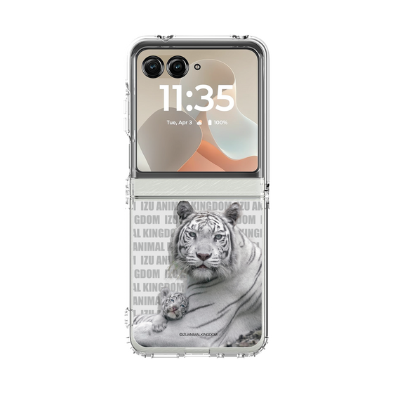 クリアケース［ 伊豆アニマルキングダム - ホワイトタイガー - 親子 ］