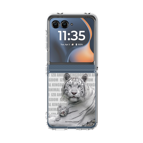 クリアケース［ 伊豆アニマルキングダム - ホワイトタイガー - 親子 ］