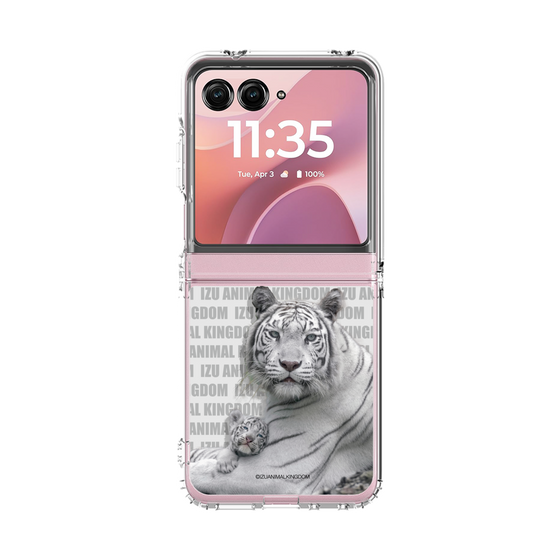 クリアケース［ 伊豆アニマルキングダム - ホワイトタイガー - 親子 ］