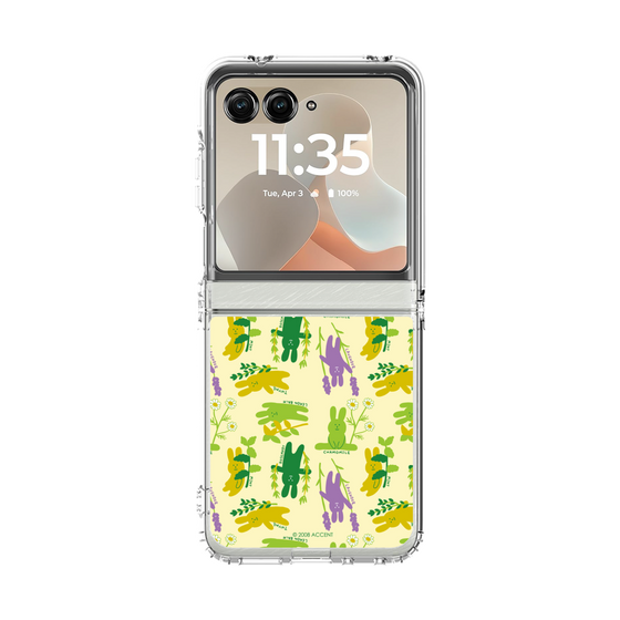 クリアケース［ CRAFTHOLIC - Botanical ］