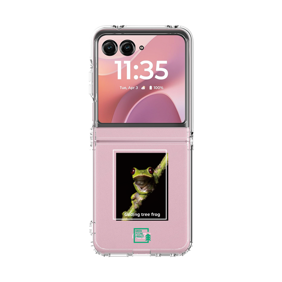 クリアケース［ Green Future Project - Gliding tree frog ］