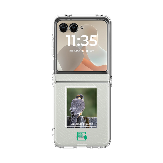 クリアケース［ Green Future Project - Aplomado Falcon ］