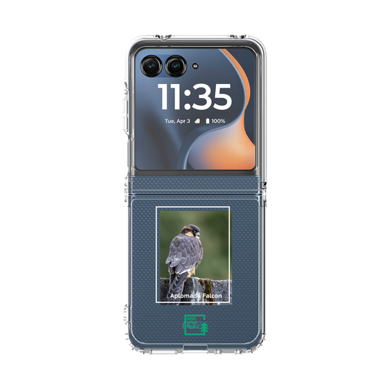 クリアケース［ Green Future Project - Aplomado Falcon ］