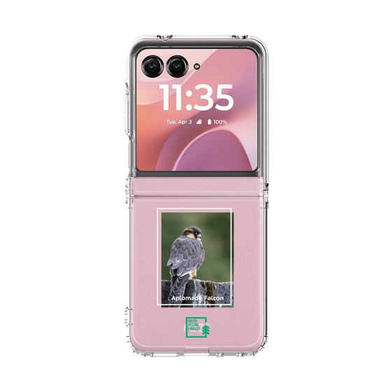 クリアケース［ Green Future Project - Aplomado Falcon ］