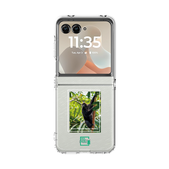 クリアケース［ Green Future Project - Brown-headed Spider Monkey ］