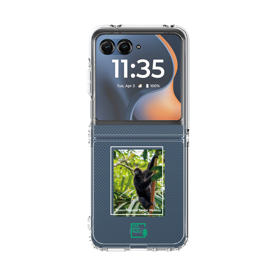 クリアケース［ Green Future Project - Brown-headed Spider Monkey ］