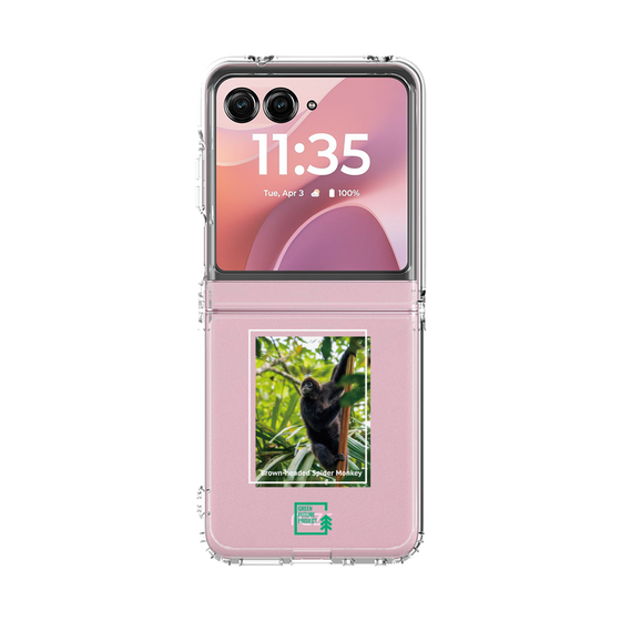 クリアケース［ Green Future Project - Brown-headed Spider Monkey ］