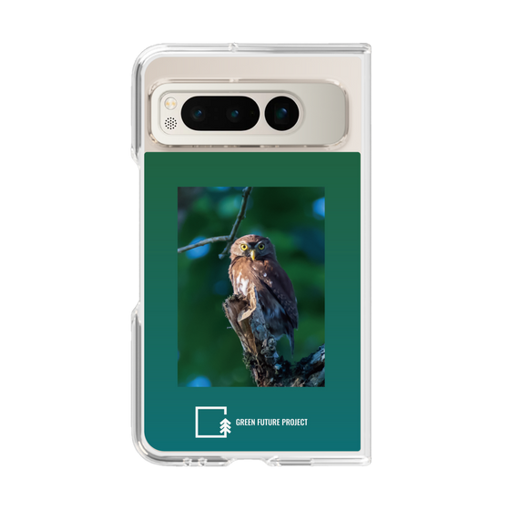 クリアケース［ Green Future Project - Ferruginous Pygmy Owl ］