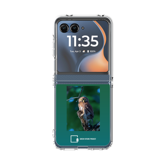 クリアケース［ Green Future Project - Ferruginous Pygmy Owl ］