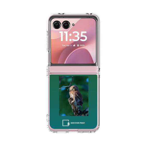 クリアケース［ Green Future Project - Ferruginous Pygmy Owl ］