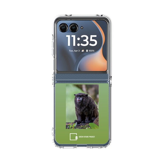 クリアケース［ Green Future Project - Black-mantled Tamarin ］