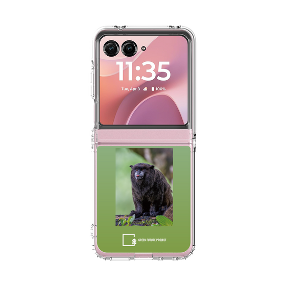 クリアケース［ Green Future Project - Black-mantled Tamarin ］