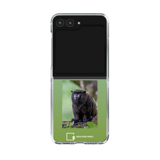 クリアケース［ Green Future Project - Black-mantled Tamarin ］