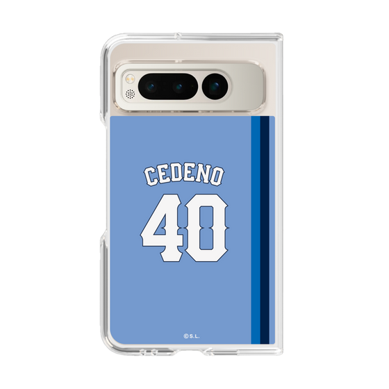 クリアケース［ ライオンズフェスティバルズ2025- #40 CEDENO ］