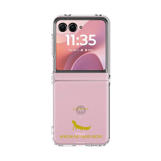 クリアケース［ &UCHINOCO - ニシアフリカトカゲモドキ ］