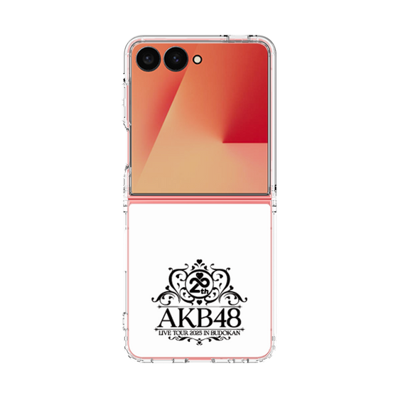 クリアケース［ AKB48 - 20th武道館コンサートロゴ ］