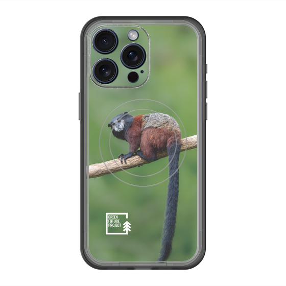 スリムプロテクションプレミアムケース with MagSafe［ Green Future Project - Saddle-backTamarin ］