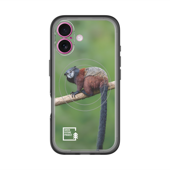 スリムプロテクションプレミアムケース with MagSafe［ Green Future Project - Saddle-backTamarin ］