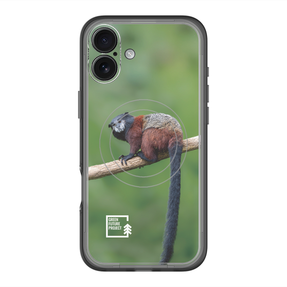 スリムプロテクションプレミアムケース with MagSafe［ Green Future Project - Saddle-backTamarin ］
