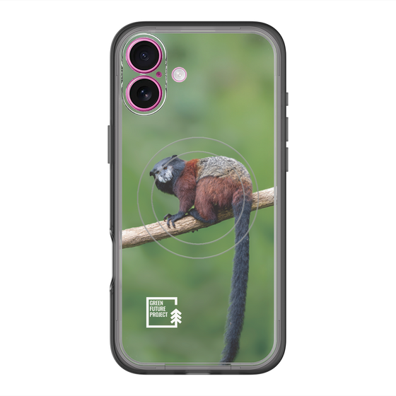 スリムプロテクションプレミアムケース with MagSafe［ Green Future Project - Saddle-backTamarin ］
