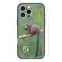 スリムプロテクションプレミアムケース with MagSafe［ Green Future Project - Saddle-backTamarin ］