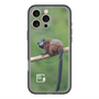 スリムプロテクションプレミアムケース with MagSafe［ Green Future Project - Saddle-backTamarin ］
