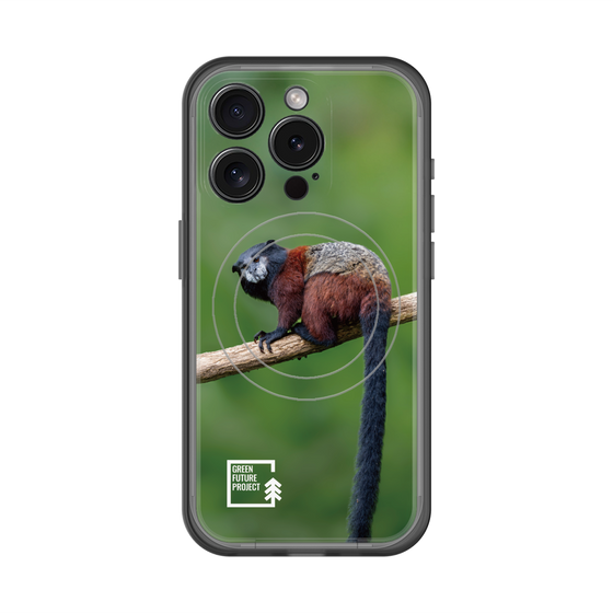 スリムプロテクションプレミアムケース with MagSafe［ Green Future Project - Saddle-backTamarin ］
