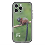 スリムプロテクションプレミアムケース with MagSafe［ Green Future Project - Saddle-backTamarin ］