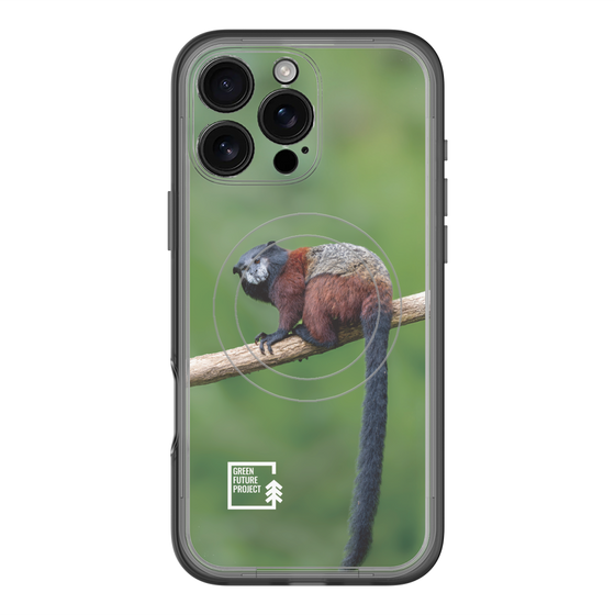 スリムプロテクションプレミアムケース with MagSafe［ Green Future Project - Saddle-backTamarin ］