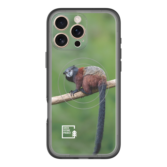 スリムプロテクションプレミアムケース with MagSafe［ Green Future Project - Saddle-backTamarin ］