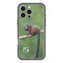 スリムプロテクションプレミアムケース with MagSafe［ Green Future Project - Saddle-backTamarin ］